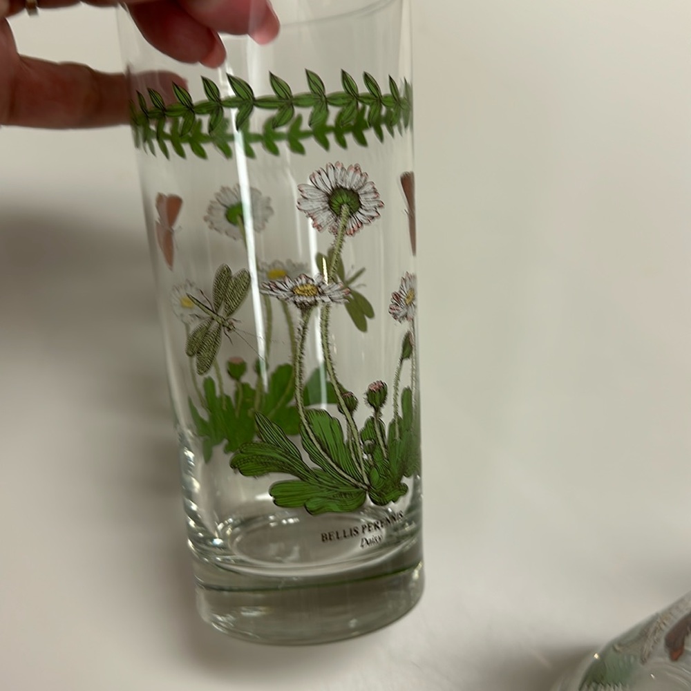 Set of 3 Portmeirion 16 oz glasses -Belles Perennes DAISY - Botanical Garden
